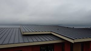 Best Roof Ventilation Installation  in Walkersville, MD